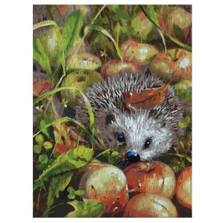 Белоснежка Картина по номерам "Яблочный ёжик" 30х40 см (140-AS)