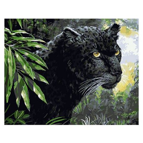 Color Kit Картина по номерам "Черная пантера" 30х40 см (KS021)