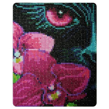 Color Kit Набор алмазной вышивки Лиловый взгляд (MP008) 17х21 см
