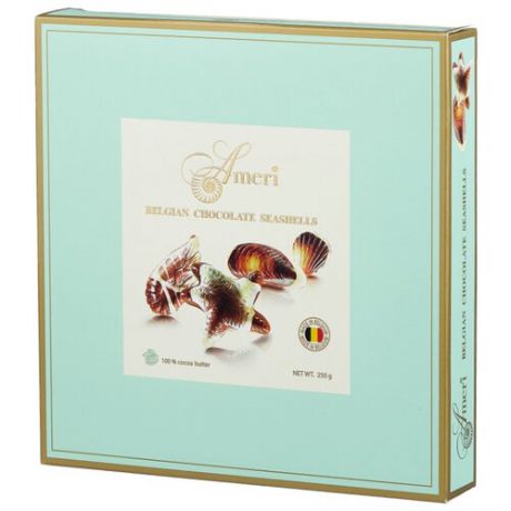Набор конфет Ameri Шоколадные конфеты-ракушки 250 г (1445017/1)