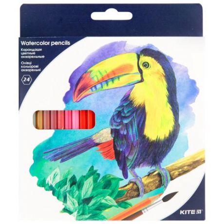 Kite акварельные цветные карандаши, 24 цвета (K18-1050)