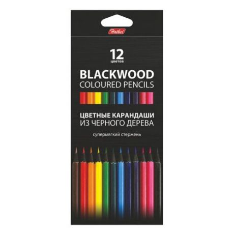 Hatber цветные карандаши BLACK DIAMOND, 12 цветов (BKc_12830)