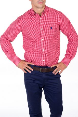 shirt POLO CLUB С.H.A. Рубашки и сорочки длинные