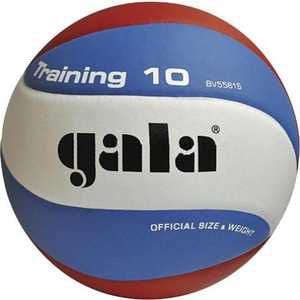 Мяч волейбольный Gala Training 10 (BV5561S), размер 5, цвет бело-голубо-красный