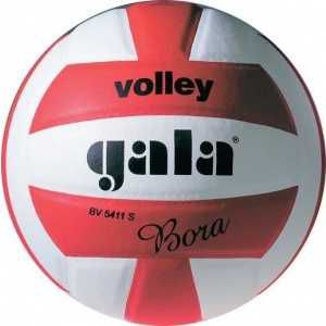 Мяч волейбольный Gala Bora 10