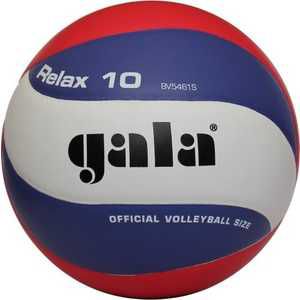 Волейбольный мяч Gala RELAX (арт. BV5461S )
