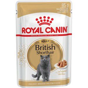 Паучи Royal Canin British Shorthair Adult кусочки в соусе для кошек британской короткошерстной породы 85г (540001)