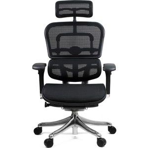 Кресло эргономичное Comfort Seating Group EHPE-AB-HAM (Д) KMD-31 ergohuman plus elite black