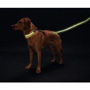 Поводок Hunter LED Manoa Glow 30/120 желтый светящийся для собак