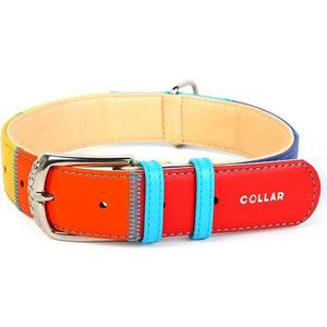 Ошейник CoLLaR Glamour "Радуга" ширина 20мм длина 30-39см для собак (3920)