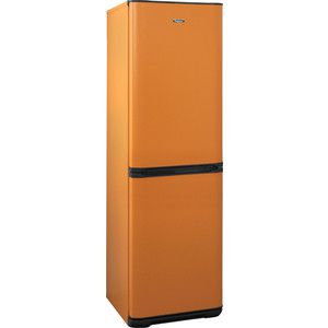 Холодильник Бирюса T131