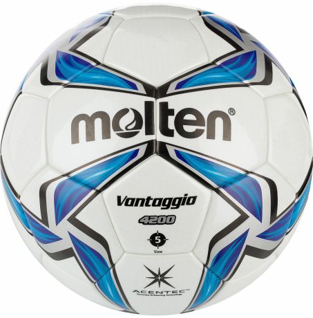 Molten Мяч футбольный Molten IMS FIFA