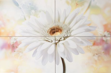 Панно «Orchid» 40х60 см цвет белая гербера