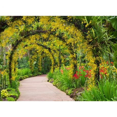 Фотообои флизелиновые «Цветочная арка» 370х270 см