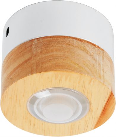 Светильник точечный светодиодный накладной влагозащищённый 12-100, 2 м², тёплый белый свет, цвет бук