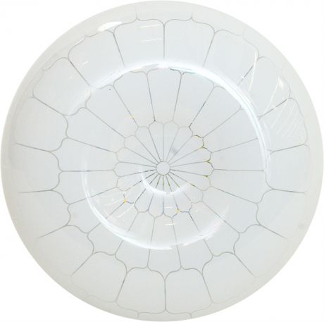 Светильник настенно-потолочный светодиодный «Паутина», 5 м², белый свет, цвет белый/серебристый
