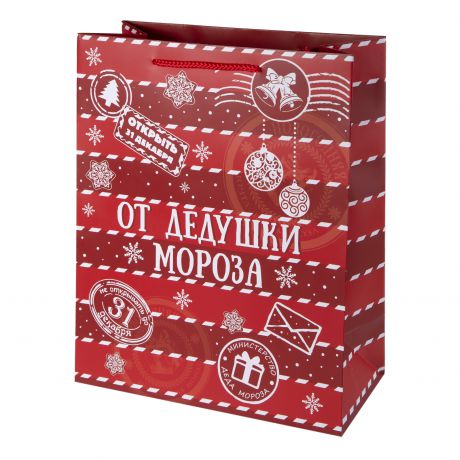 Пакет подарочный «От Дедушки Мороза» 18x23 см