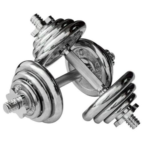 Набор гантелей разборных York Fitness B25617 2x15 кг