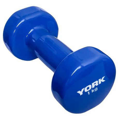 Гантель цельнолитая York Fitness DBY200 B26315 1 кг синяя