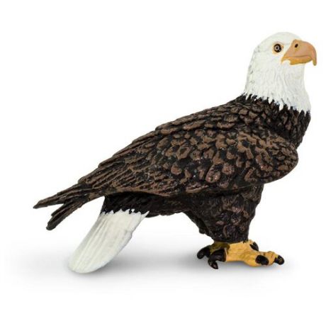 Фигурка Safari Ltd Белоголовый орлан 291129