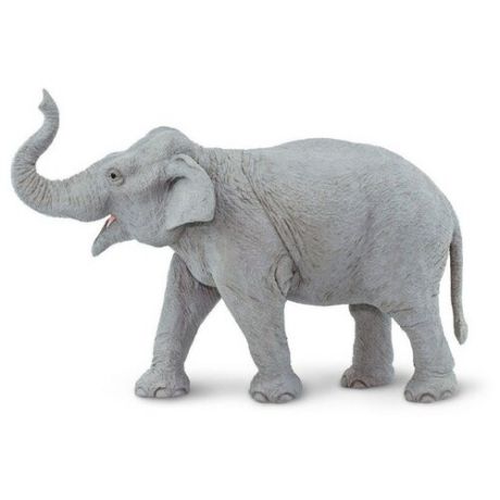 Фигурка Safari Ltd Индийский слон 112389