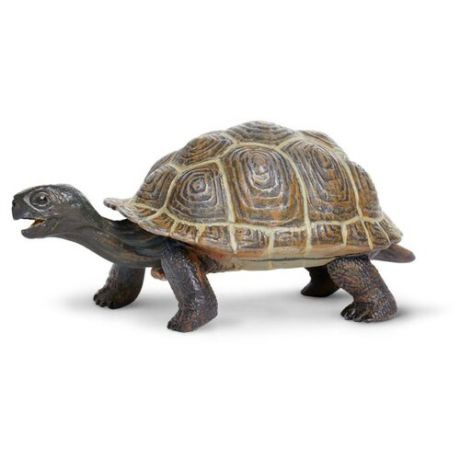 Фигурка Safari Ltd Сухопутная черепаха 260829