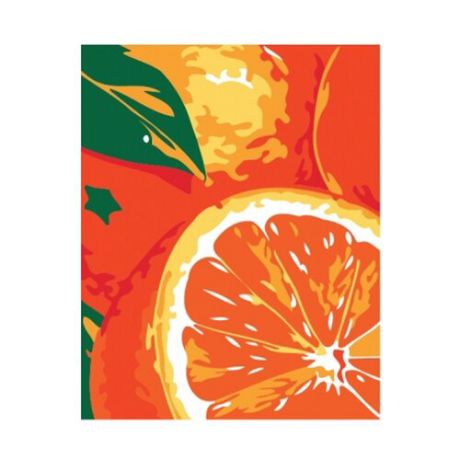Рыжий кот Картина по номерам "Сочные апельсины" 30х40 см (KTL620)