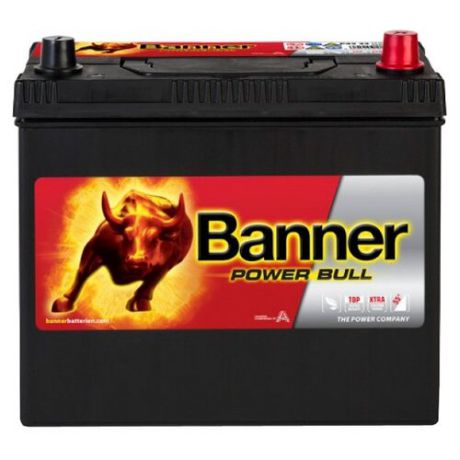 Аккумулятор Banner Power Bull P45 23