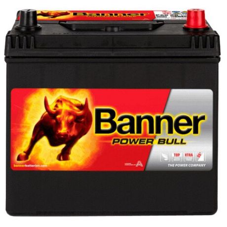 Автомобильный аккумулятор Banner Power Bull P60 68