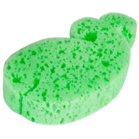 Губка Canpol Babies Зверюшки (43/104) зеленый