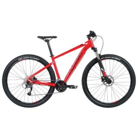 Горный (MTB) велосипед Format 1413 29 (2019) красный M (требует финальной сборки)