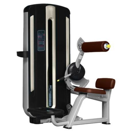 Тренажер со встроенными весами Bronze Gym MNM-009 коричневый/серый