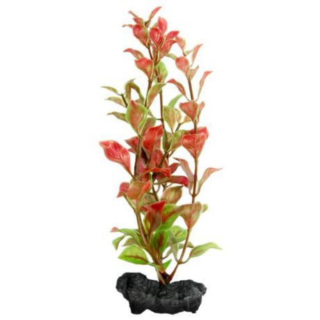Искусственное растение Tetra Red Ludwigia S красный/зеленый