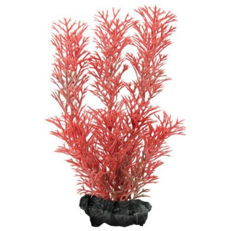 Искусственное растение Tetra Red Foxtail S красный