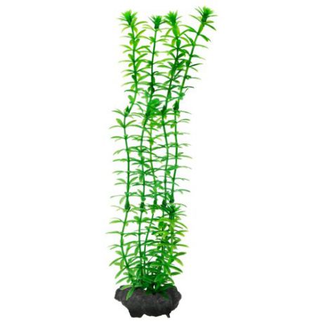Искусственное растение Tetra Anacharis M зеленый