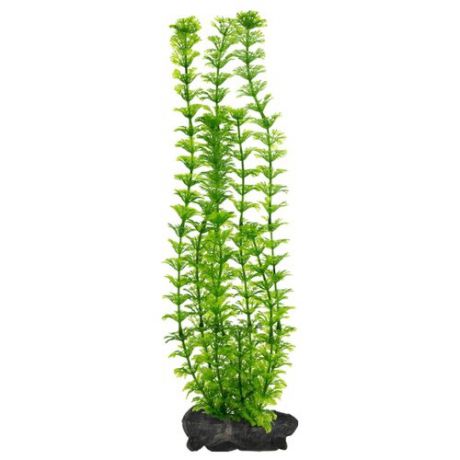 Искусственное растение Tetra Ambulia L зелeный