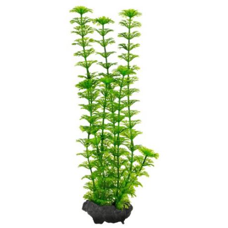 Искусственное растение Tetra Ambulia M зеленый