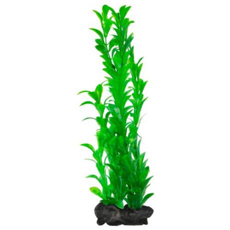 Искусственное растение Tetra Hygrophila L зелeный