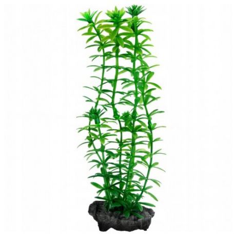 Искусственное растение Tetra Anacharis S зелeный