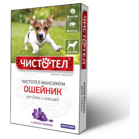 ЧИСТОТЕЛ ошейник от блох и клещей Максимум для собак и щенков, 65 см, фиолетовый