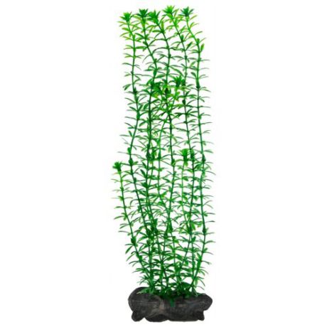 Искусственное растение Tetra Anacharis L зеленый