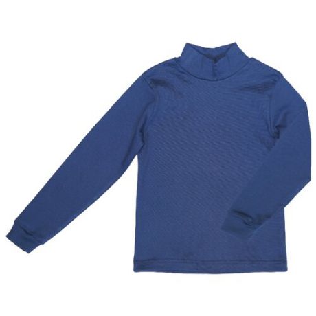 Водолазка ДО (Детская одежда) размер 128, темно-синий