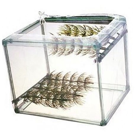 Отсадник для аквариумных рыб Penn-Plax Net Breeder NB1 зеленый/белый