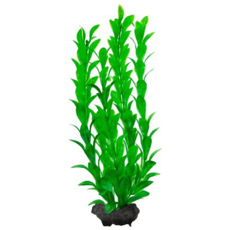 Искусственное растение Tetra Hygrophila M зеленый