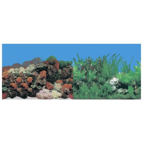Пленочный фон Prime Кораллы/Растительный двухсторонний 30х60 см