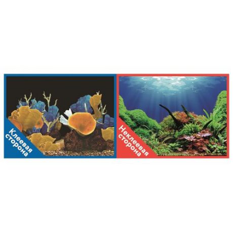 Пленочный фон Prime Морские кораллы/Подводный мир двухсторонний 30х60 см