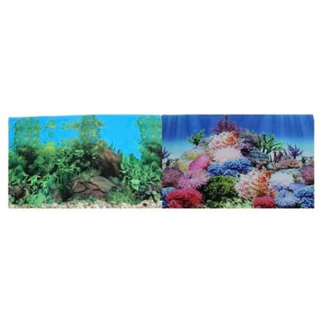 Пленочный фон Prime Коралловый рай/Подводный пейзаж двухсторонний 50х100 см