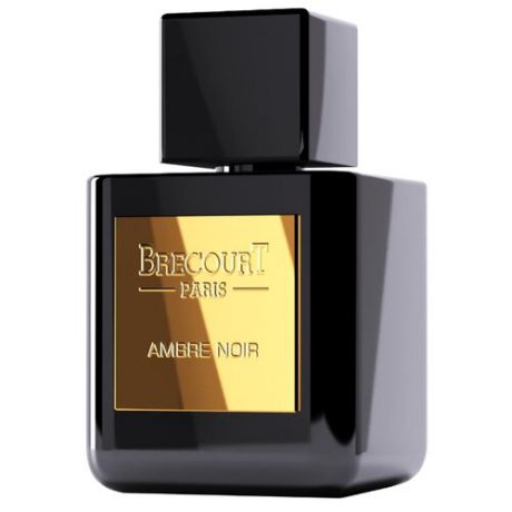 Парфюмерная вода Brecourt Ambre Noir, 50 мл