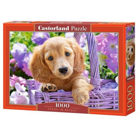 Пазл Castorland Puppy in Basket (C-103799), 1000 дет.