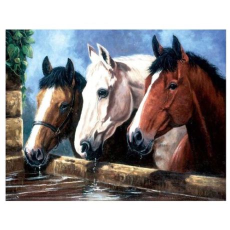 Royal & Langnickel Раскраска по номерам «Три лошади» 28x39 см (PJL 23)